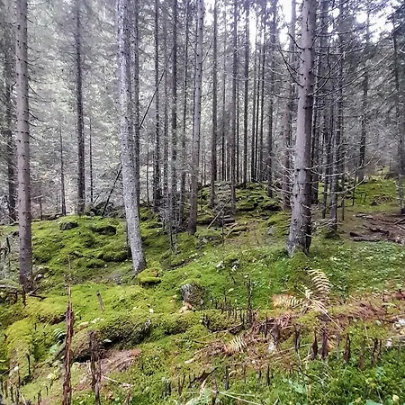Magnifique Au Pied Du Telecabine D'arrondaz Et Des Pistes De * Modane